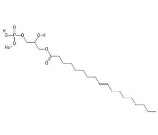 Lysophosphatidic Acid (CAS 325465-93-8) - chemical structure image 