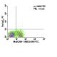MAdCAM-1 Antibody (MECA-89) - Flow Cytometry - Image 6036