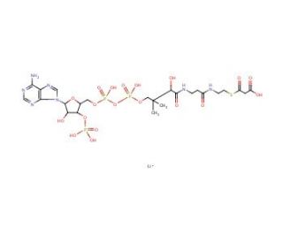 Malonyl coenzyme A lithium salt (CAS 108347-84-8) - chemical structure image