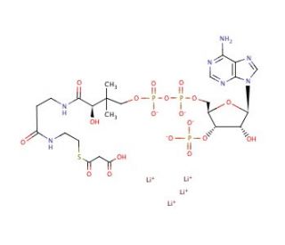 Malonyl coenzyme A tetralithium salt (CAS 116928-84-8) - chemical structure image