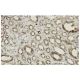 MAPKAPK-2 Antibody (35-I) - Immunohistochemistry - Image 36002 