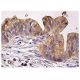 MARK3 Antibody (G-7) - Immunohistochemistry - Image 158595 