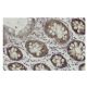 MCAT Antibody (3B5) - Immunohistochemistry - Image 36045 