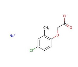 MCPA sodium salt monohydrate (CAS 3653-48-3 (anhydrous)) - chemical structure image