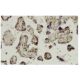 Med31 Antibody (3-9D) - Immunohistochemistry - Image 36333 