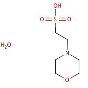 MES monohydrate | CAS 145224-94-8 | SCBT - Santa Cruz Biotechnology