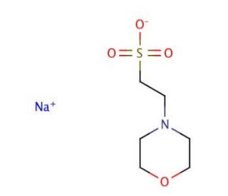 MES, Sodium Salt (CAS 71119-23-8) - chemical structure image
