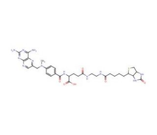 Methotrexyl-N&prime;-biotinylethylenediamine - chemical structure image