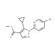 Methyl 1-(5-bromopyridin-2-yl)-5-cyclopropylpyrazole-4-carboxylate (CAS 1150164-26-3) - chemical structure image