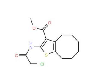 Methyl 2-[(chloroacetyl)amino]-4,5,6,7,8,9-hexahydrocycloocta[b]thiophene-3-carboxylate - chemical structure image