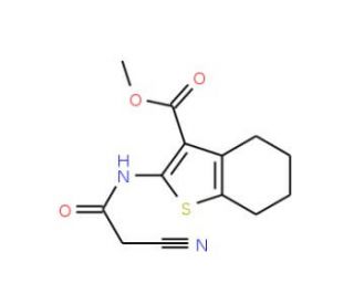Methyl 2-[(cyanoacetyl)amino]-4,5,6,7-tetrahydro-1-benzothiophene-3-carboxylate - chemical structure image