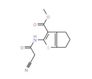 Methyl 2-[(cyanoacetyl)amino]-5,6-dihydro-4H-cyclopenta[b]thiophene-3-carboxylate - chemical structure image