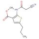 Methyl 2-[(cyanoacetyl)amino]-5-propylthiophene-3-carboxylate - chemical structure image