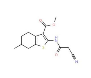 Methyl 2-[(cyanoacetyl)amino]-6-methyl-4,5,6,7-tetrahydro-1-benzothiophene-3-carboxylate - chemical structure image