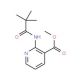 Methyl 2-(2,2,2-trimethylacetamido)nicotinate (CAS 773875-91-5) - chemical structure image