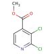 Methyl 2,3-dichloroisonicotinate (CAS 603124-78-3) - chemical structure image