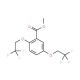 Methyl 2,5-bis(2,2,2-trifluoroethoxy)benzoate (CAS 175204-89-4) - chemical structure image