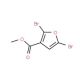 Methyl 2,5-dibromofuran-3-carboxylate (CAS 1150271-26-3) - chemical structure image
