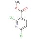 Methyl 2,6-dichloropyridine-3-carboxylate (CAS 65515-28-8) - chemical structure image