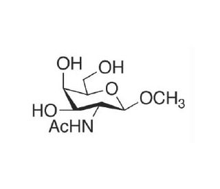 Methyl 2-Acetamido-2-deoxy-&beta;-D-galactopyranoside (CAS 3055-46-7) - chemical structure image