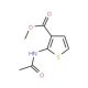 Methyl 2-(acetylamino)-3-thiophenecarboxylate (CAS 22288-81-9) - chemical structure image