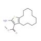 Methyl 2-amino-4,5,6,7,8,9,10,11,12,13-decahydrocyclododeca[b]thiophene-3-carboxylate - chemical structure image