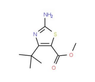 Methyl 2-amino-4-t-butylthiazole-5-carboxylate (CAS 478258-61-6) - chemical structure image