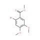 Methyl-2-bromo-4,5-dimethoxybenzoate (CAS 17667-32-2) - chemical structure image