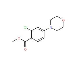 Methyl 2-chloro-4-morpholinobenzenecarboxylate (CAS 175153-39-6) - chemical structure image