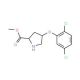 Methyl (2S,4S)-4-(2,5-dichlorophenoxy)-2-pyrrolidinecarboxylate - chemical structure image