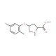 Methyl (2S,4S)-4-(2,5-dimethylphenoxy)-2-pyrrolidinecarboxylate - chemical structure image
