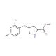 Methyl (2S,4S)-4-(2-bromo-4-methylphenoxy)-2-pyrrolidinecarboxylate - chemical structure image