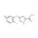 Methyl (2S,4S)-4-(2-chloro-5-methylphenoxy)-2-pyrrolidinecarboxylate - chemical structure image