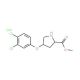 Methyl (2S,4S)-4-(3,4-dichlorophenoxy)-2-pyrrolidinecarboxylate hydrochloride - chemical structure image