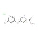 Methyl (2S,4S)-4-(3-bromophenoxy)-2-pyrrolidinecarboxylate hydrochloride - chemical structure image