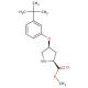 Methyl (2S,4S)-4-[3-(tert-butyl)phenoxy]-2-pyrrolidinecarboxylate - chemical structure image