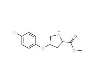 Methyl (2S,4S)-4-(4-chlorophenoxy)-2-pyrrolidinecarboxylate - chemical structure image