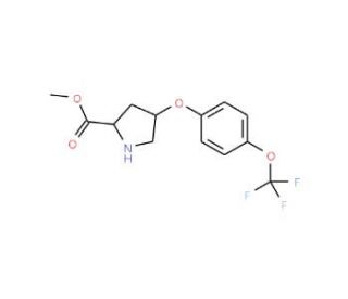 Methyl (2S,4S)-4-[4-(trifluoromethoxy)phenoxy]-2-pyrrolidinecarboxylate - chemical structure image