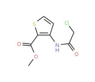 methyl 3-[(chloroacetyl)amino]thiophene-2-carboxylate (CAS 146381-88-6) - chemical structure image