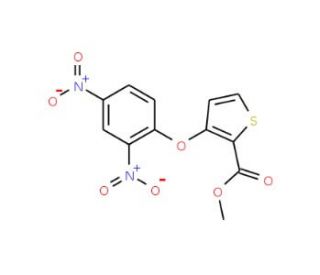 Methyl 3-(2,4-dinitrophenoxy)-2-thiophenecarboxylate (CAS 104636-76-2) - chemical structure image
