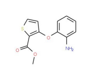 Methyl 3-(2-aminophenoxy)-2-thiophenecarboxylate (CAS 91041-21-3) - chemical structure image