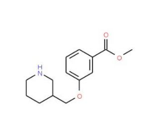 Methyl 3-(3-piperidinylmethoxy)benzoate - chemical structure image