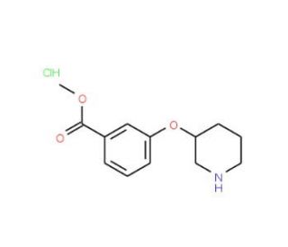 Methyl 3-(3-piperidinyloxy)benzoate hydrochloride - chemical structure image
