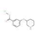 Methyl 3-(3-piperidinyloxy)benzoate hydrochloride - chemical structure image