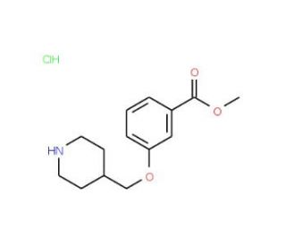 Methyl 3-(4-piperidinylmethoxy)benzoatehydrochloride - chemical structure image