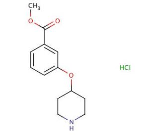 Methyl 3-(4-piperidinyloxy)benzoate hydrochloride - chemical structure image