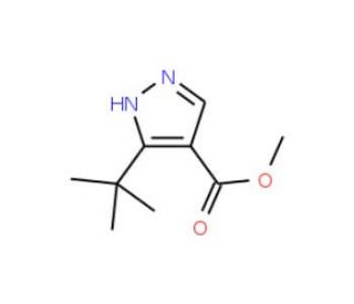 Methyl 3(5)-t-butylpyrazole-4-carboxylate (CAS 1017782-45-4) - chemical structure image