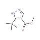 Methyl 3(5)-t-butylpyrazole-4-carboxylate (CAS 1017782-45-4) - chemical structure image
