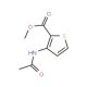 Methyl 3-(acetylamino)-2-thiophenecarboxylate (CAS 22288-79-5) - chemical structure image