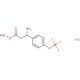methyl 3-amino-3-[4-(trifluoromethoxy)phenyl]propanoate hydrochloride - chemical structure image